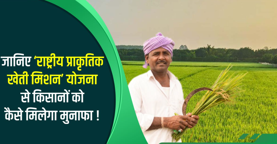 राष्ट्रीय जैविक कृषि योजना