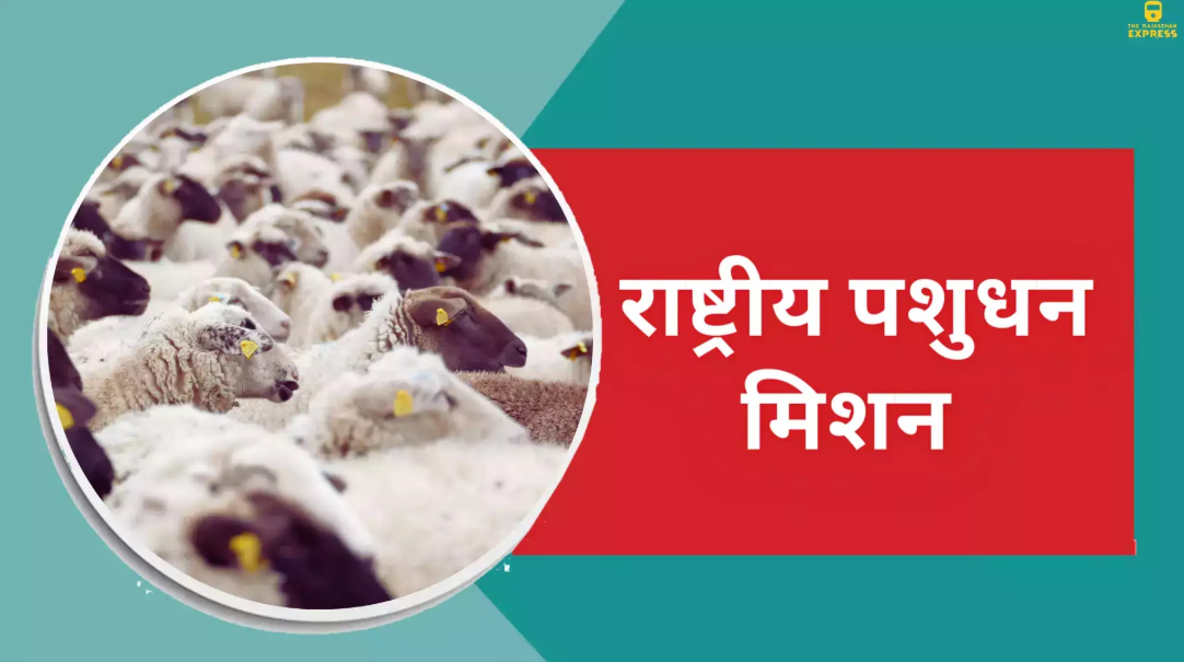 राष्ट्रीय पशुधन मिशन (National Livestock Mission)