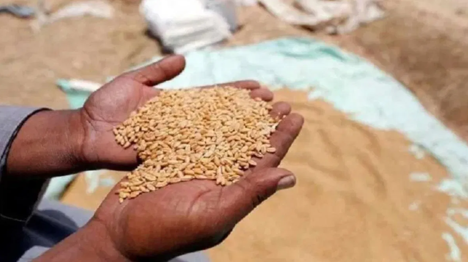 राष्ट्रीय बीज मिशन (National Seed Mission)
