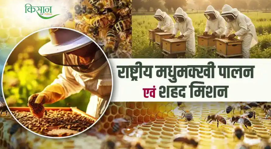 राष्ट्रीय मधुमक्खी पालन मिशन (National Beekeeping and Honey Mission)
